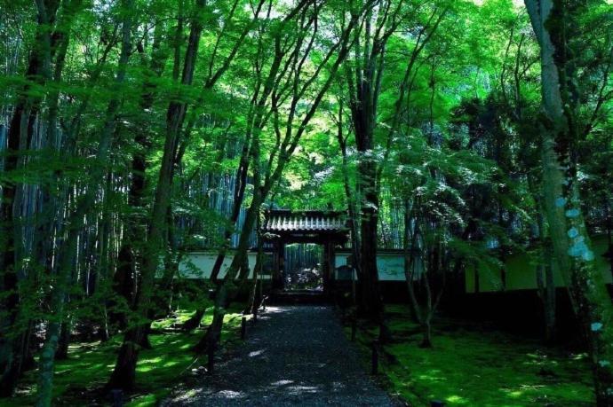 Aparthotel Kyoto-Toji House Zewnętrze zdjęcie